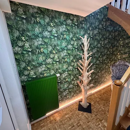 Vogelnest Passau